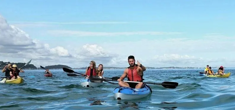 Sanctuary Explorer – Guided Kayak Tour (Single Kayak)