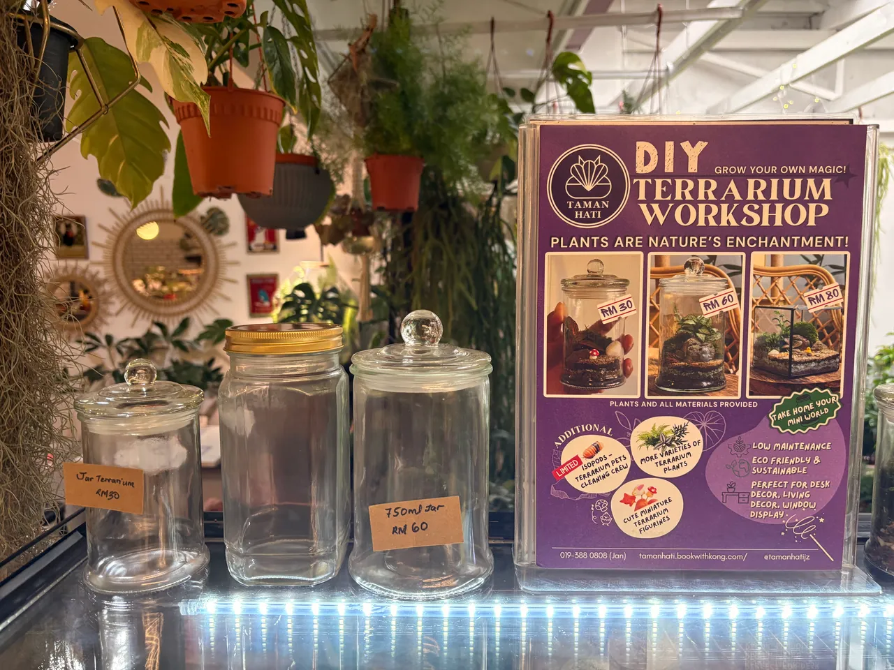 DIY Jar Terrarium Session