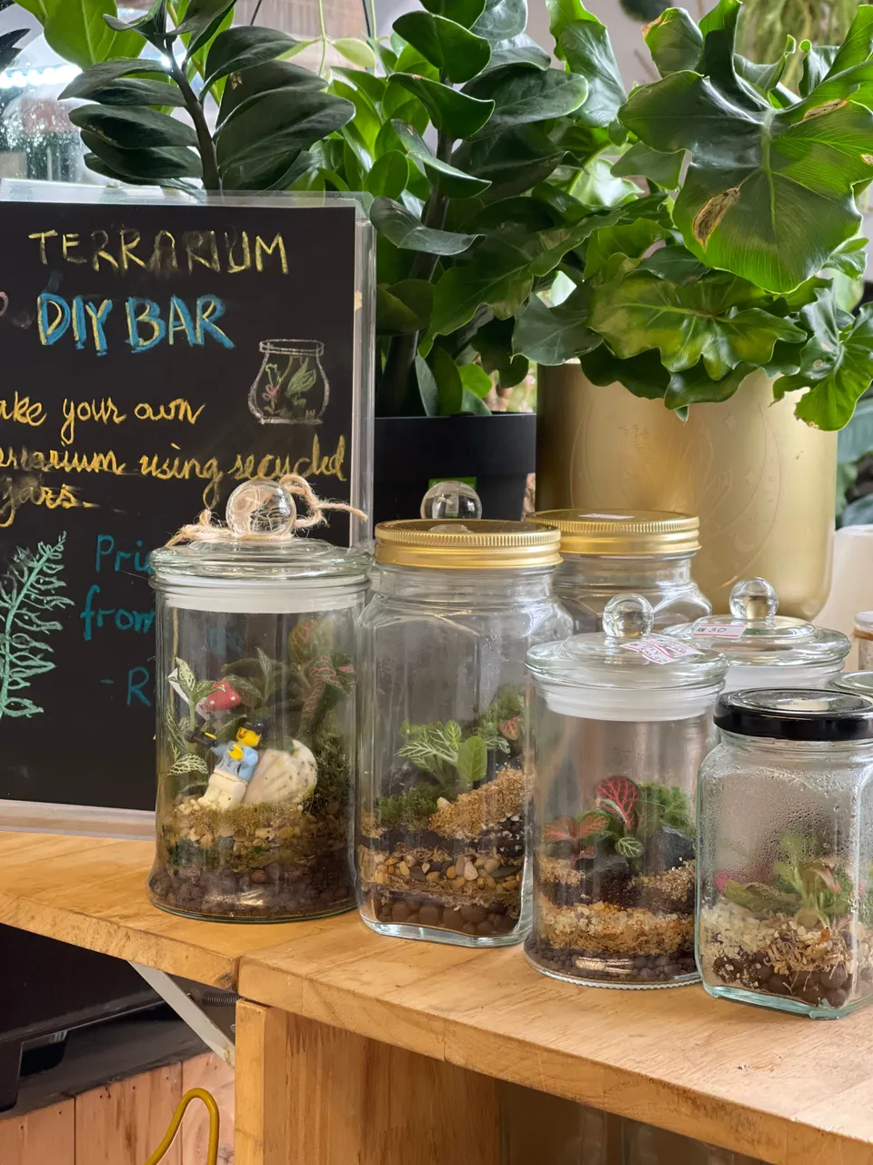 DIY terrariums_6d190fbb-3427-49b7-9237-0e6740d3e237.jpg