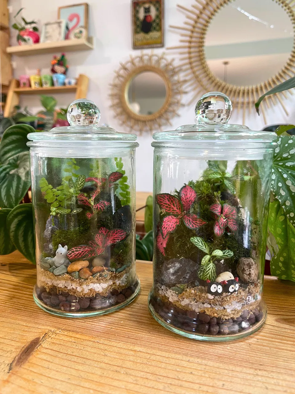 Jar terrariums_0d33504f-0162-49a5-b71b-025785cc716e.jpg