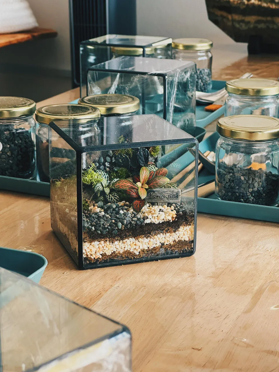 Fully Guided Terrarium Workshop