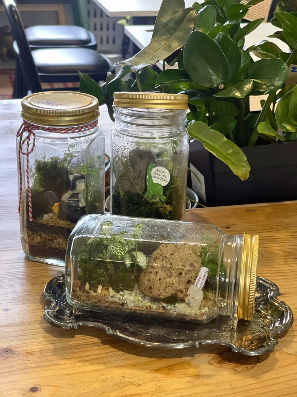 DIY Jar Terrarium Session