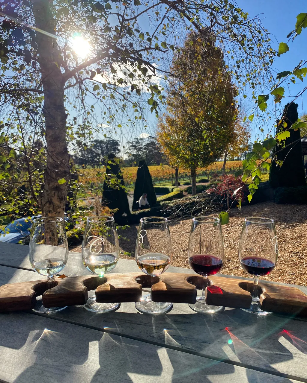 First Guided Tasting