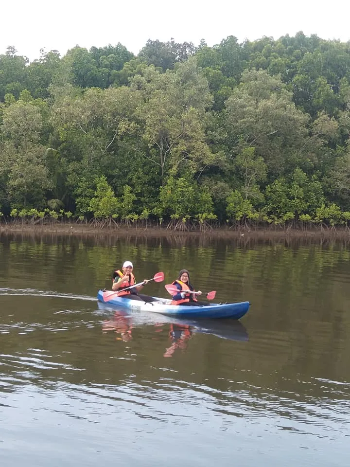 Self-Guided Mangrove River Kayak Adventure