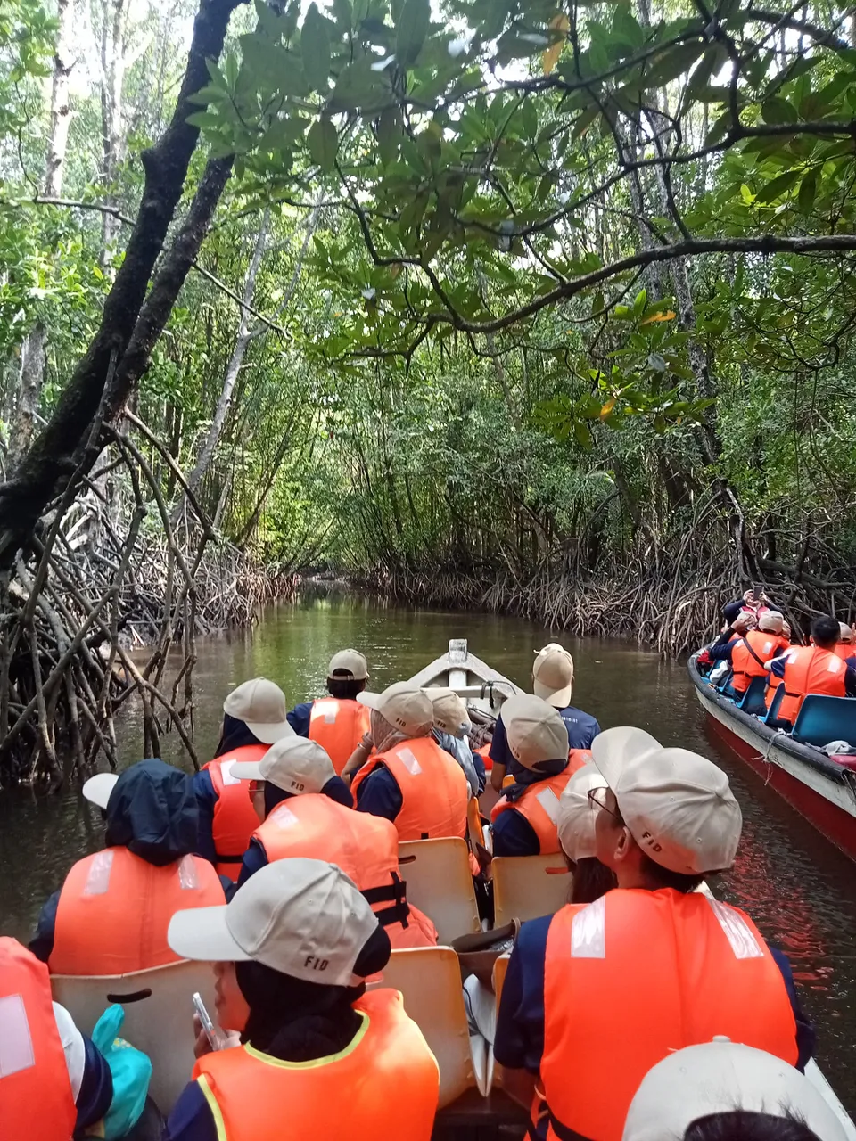 Mangrove Tree Planting Experience 
