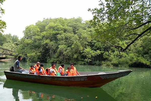 Cherating-Mangrove-River-Cruise-3_de67cce2-5094-4f12-840b-3fe5791e9105.jpg