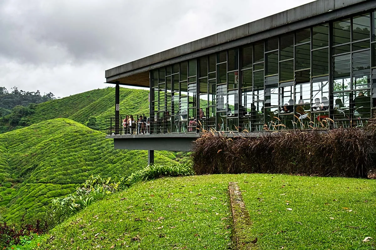 boh-tea-plantation-2_d26c3b31-b05f-4f09-a1f2-7e89c614a439.jpg