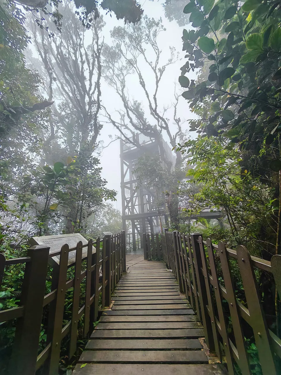 ENCHANTED BEAUTY (Full Day Tour) 