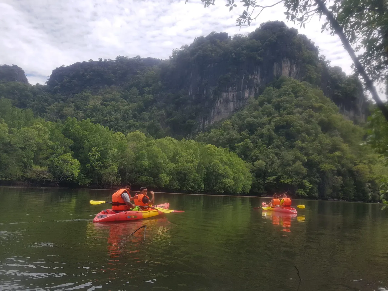 5 Hours Sharing Basis Mangrove Forest Kayaking Adventure with Lunch & Pickup