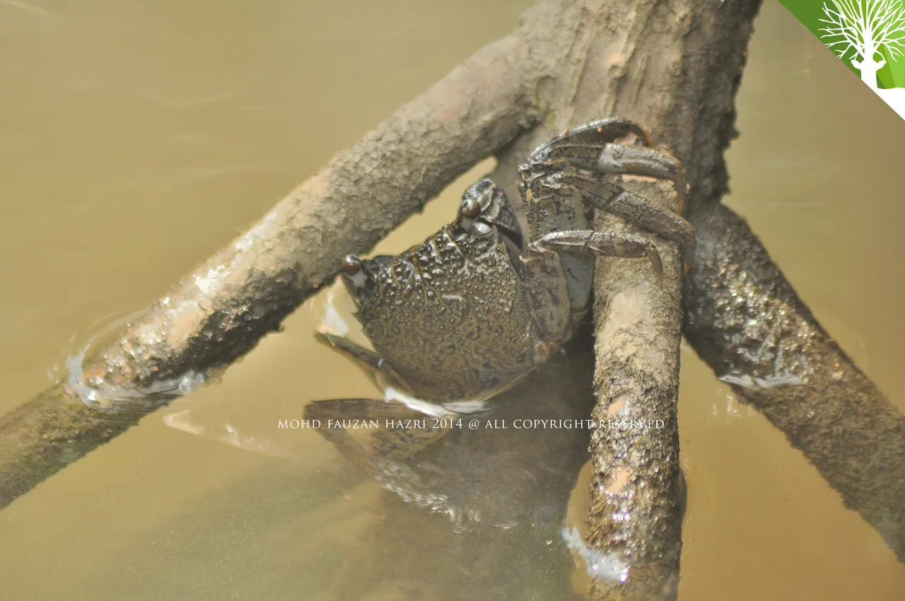 crawl_214f456a-5ba5-4d7b-ab9b-8f040f68e7bd.JPG_86ec463a.jpg
