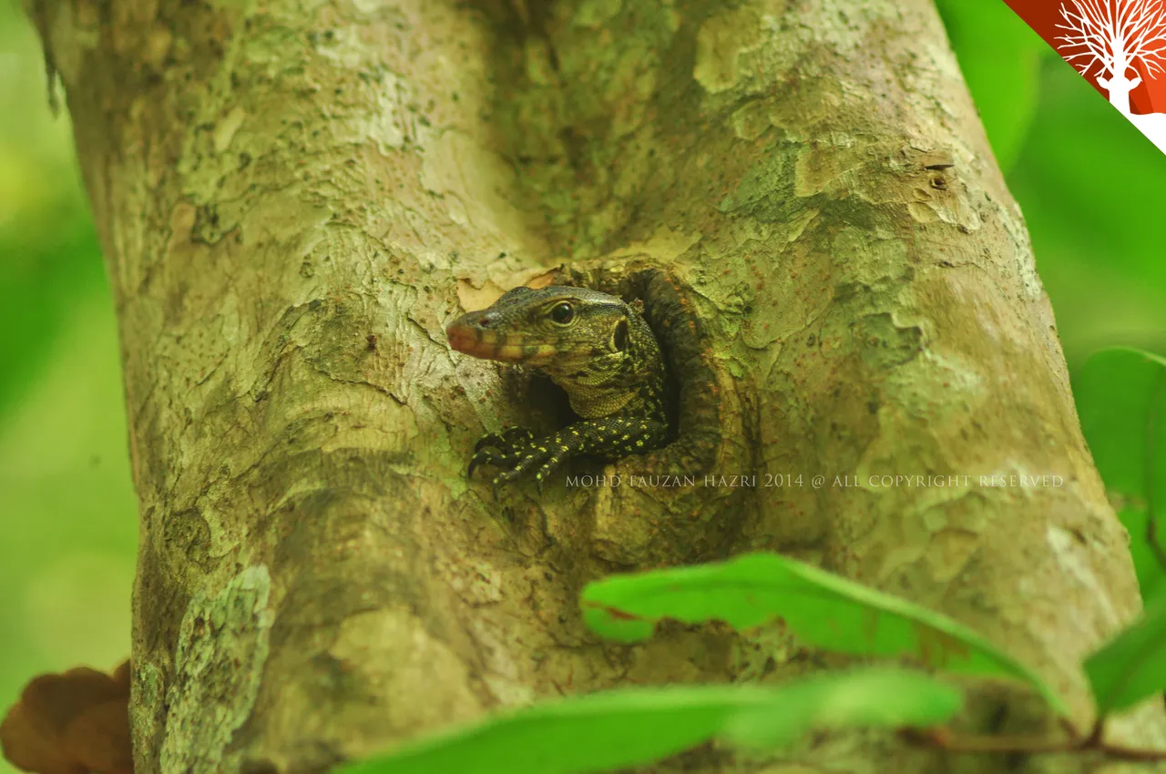 crawl_c2a60f87-ed55-43ee-93fd-2ae2024b7feb.jpg_2e22b03d.jpg
