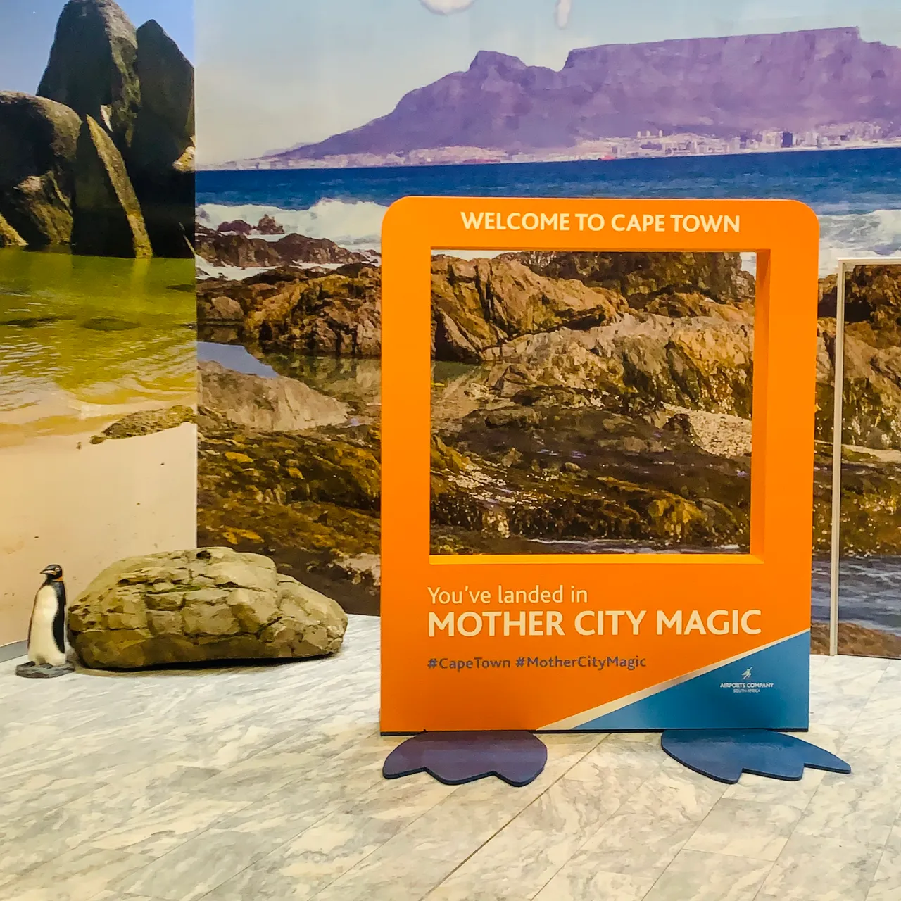 PRIVATE TRANSFER-CAMPSBAY-BENTRY BAY-SEAPOINT-HOUT BAY
