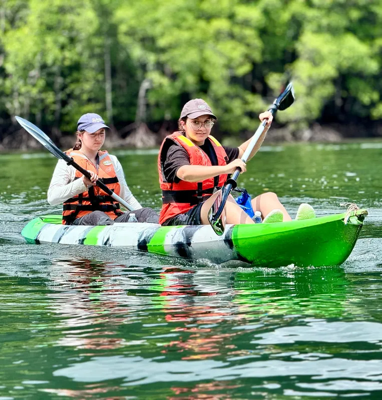 Corporate Bookings: Mangrove Kayaking Tour