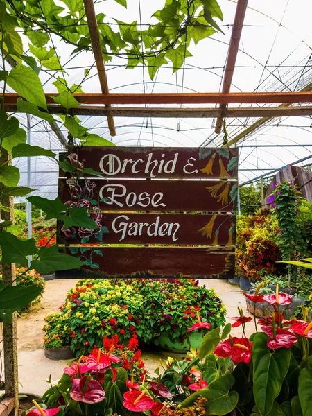 Orchid & Rose Garden