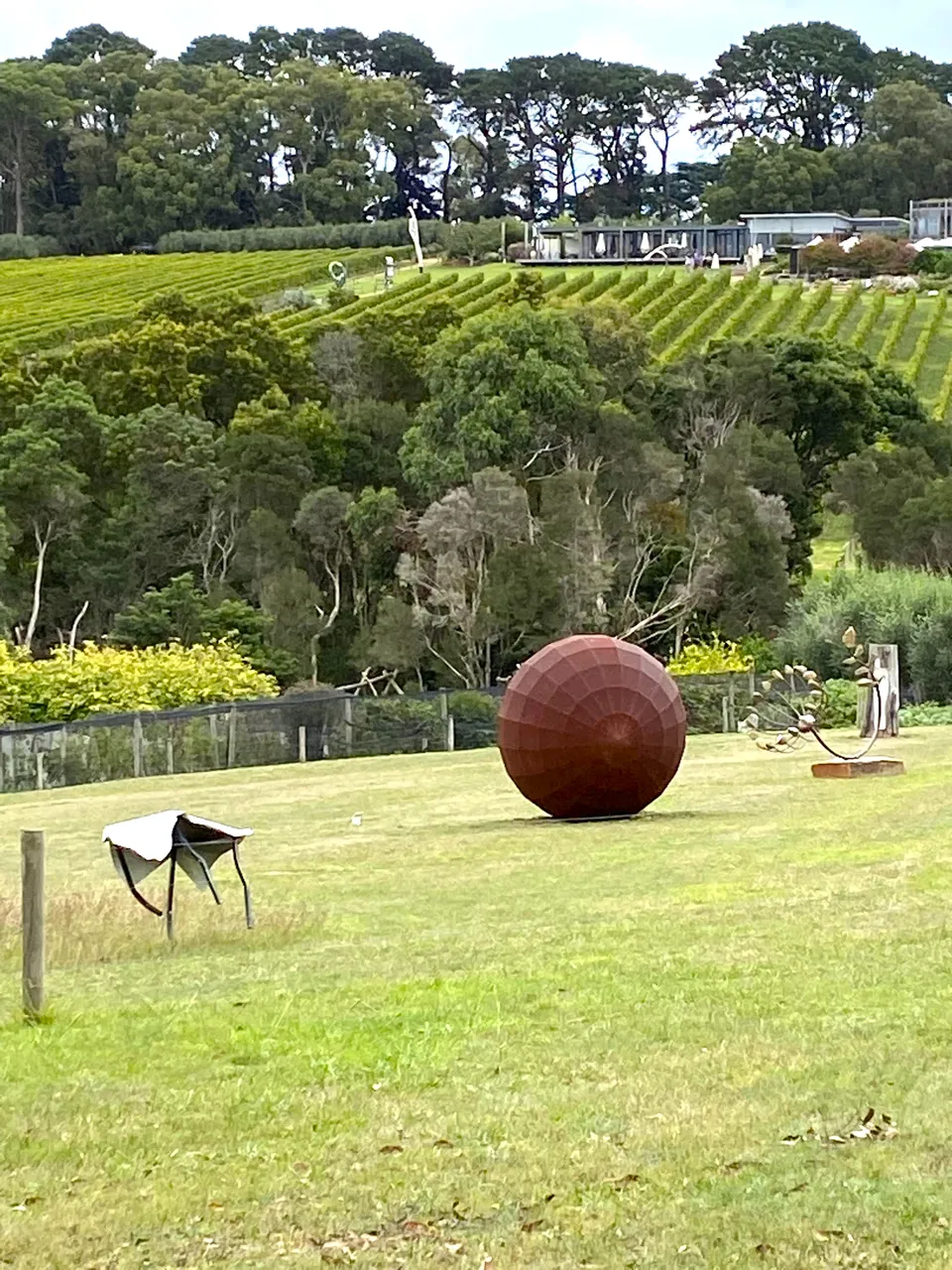 Montalto Vineyard